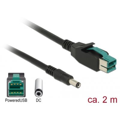 DeLOCK 85498 Stromkabel Schwarz 2 m PoweredUSB