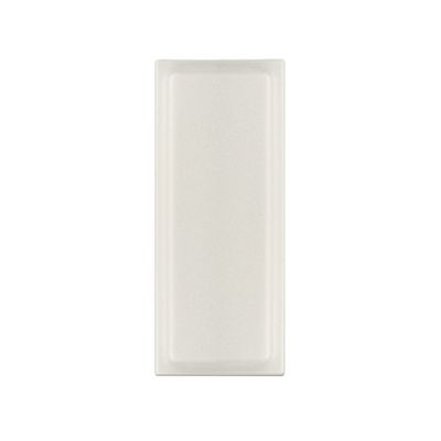 DeLOCK 88806 Netzwerk-Antenne Richtantenne N-Typ 12 dBi