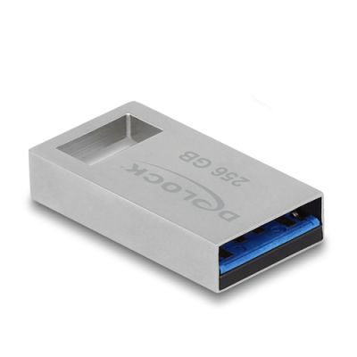 DeLOCK 54006 USB-Stick 256 GB USB Typ-A 3.2 Gen 1 (3.1 Gen 1) Grau