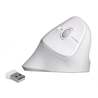 DeLOCK 12596 Maus rechts RF Wireless 1600 DPI