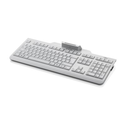 Fujitsu KB100 SCR Tastatur USB Schweiz Marmorfarbe