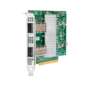 HPE P41611-B21 Netzwerkkarte Eingebaut Faser 100000 Mbit/s
