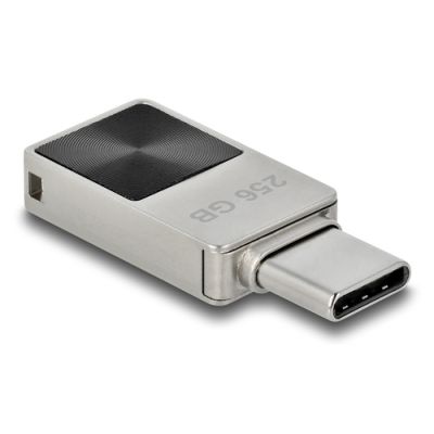 DeLOCK 54009 USB-Stick 256 GB USB Typ-C 3.2 Gen 1 (3.1 Gen 1) Schwarz, Grau