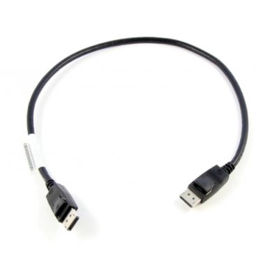 Lenovo 0.5m DisplayPort 0,5 m Schwarz
