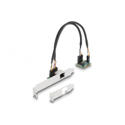DeLOCK 95271 Netzwerkkarte Eingebaut Ethernet 2500 Mbit/s