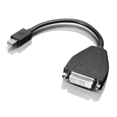 Lenovo 0B47090 Videokabel-Adapter 0,2 m Mini-DisplayPort SL-DVI Schwarz
