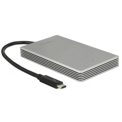 DeLOCK Thunderbolt 3 240 GB Silber