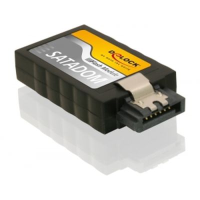 DeLOCK 54351 Internes Solid State Drive 2 GB