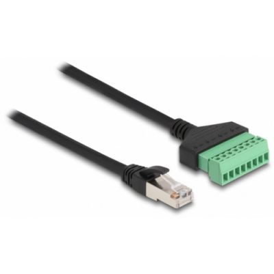 DeLOCK RJ45 Kabel Cat.6 Stecker zu Terminalblock Adapter 1 m 2-teilig