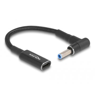 DeLOCK 60031 Stromkabel Schwarz 0,15 m USB C 4.5 x 3.0 mm