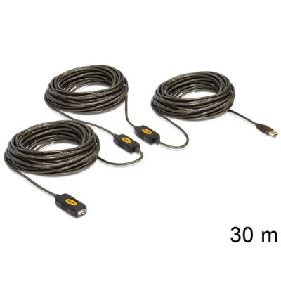 DeLOCK 30m, USB2.0 - USB2.0 USB Kabel USB A Schwarz