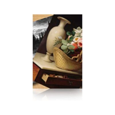 Epson Premium Luster Photo Paper, 60 Zoll x 30,5 m, 260 g/m²