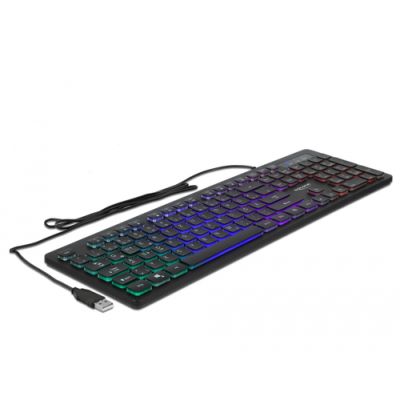 DeLOCK 12625 Tastatur USB QWERTZ Deutsch Schwarz