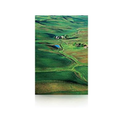 Epson Premium Semigloss Photo Paper, 60 Zoll x 30,5 m, 250 g/m²