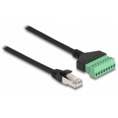 DeLOCK RJ45 Kabel Cat.6 Stecker zu Terminalblock Adapter 30 cm 2-teilig