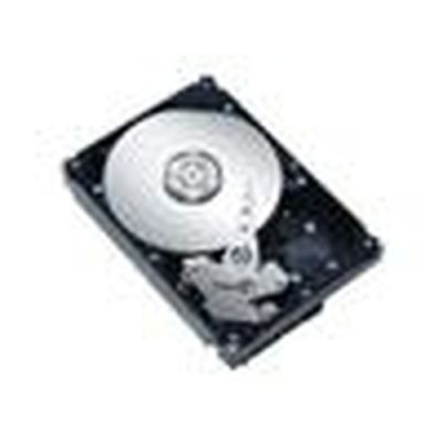 Fujitsu S26361-F3660-L100 Interne Festplatte 3.5" 1 TB Serial ATA III