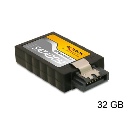 DeLOCK 32GB SATA MLC